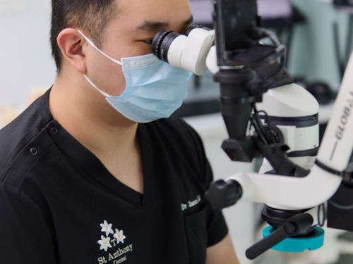 Dental Microscopes